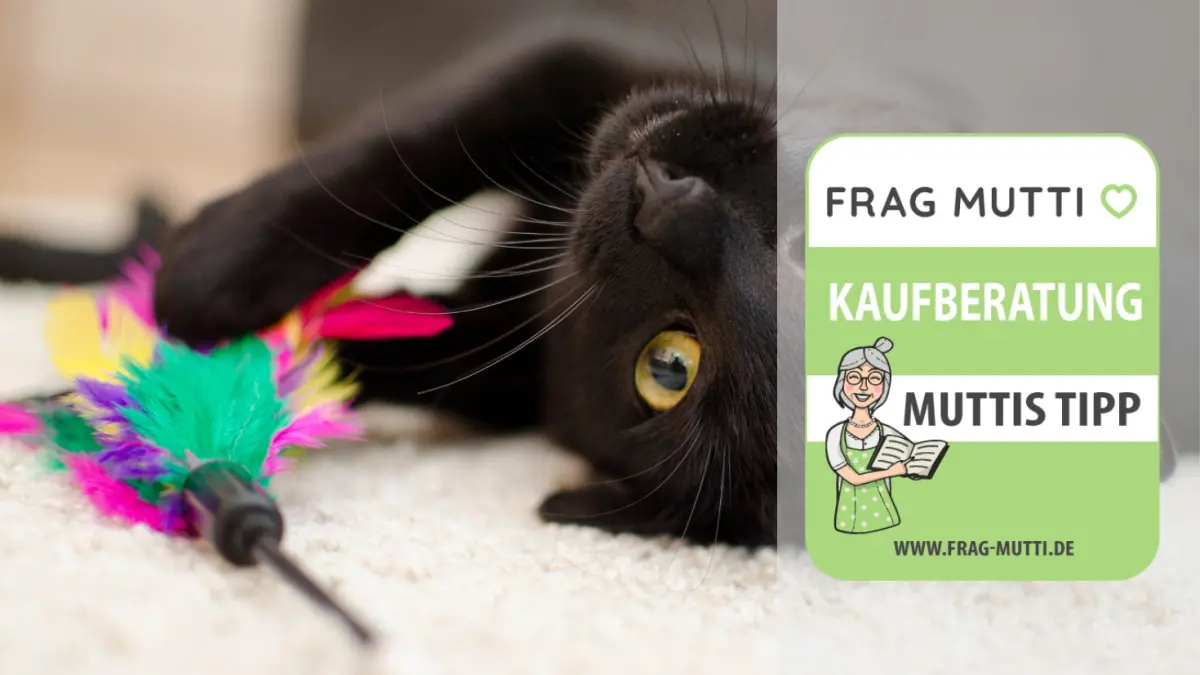 katzenspielzeug test