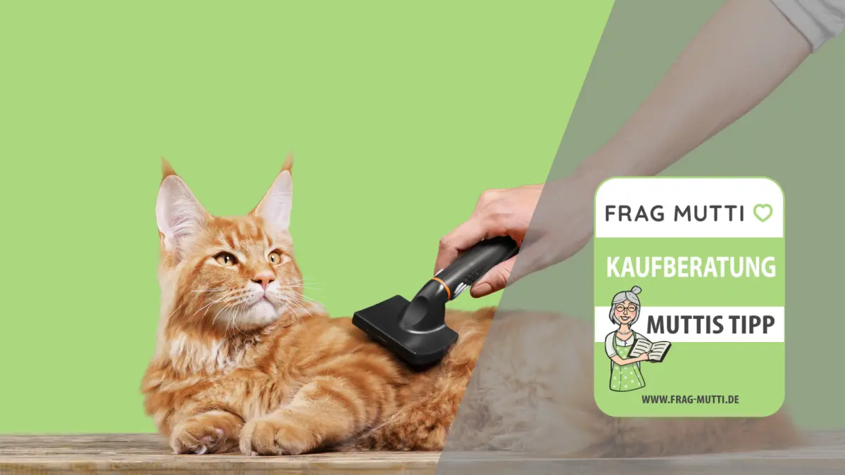 katzenbuersten test