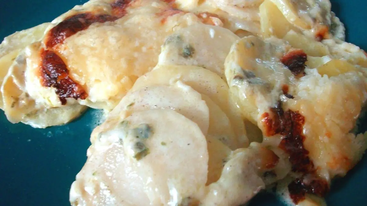 Ein cremiges Pastinaken-Kartoffel-Gratin liegt auf einem gr&uuml;nen Teller, mit goldbrauner Kruste und saftigen Schichten.