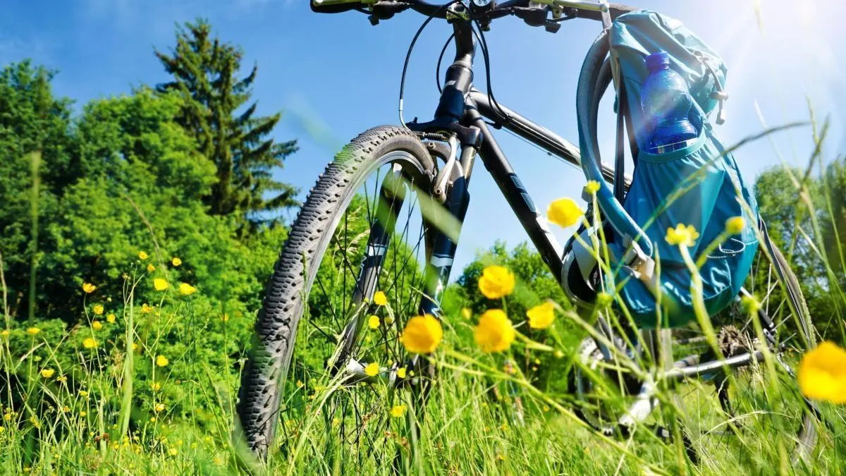 Ein Fahrrad steht auf einer bl&uuml;henden Wiese, mit einer blauen Wasserflasche im Rucksack. Die Sonne scheint bei klarem Himmel.