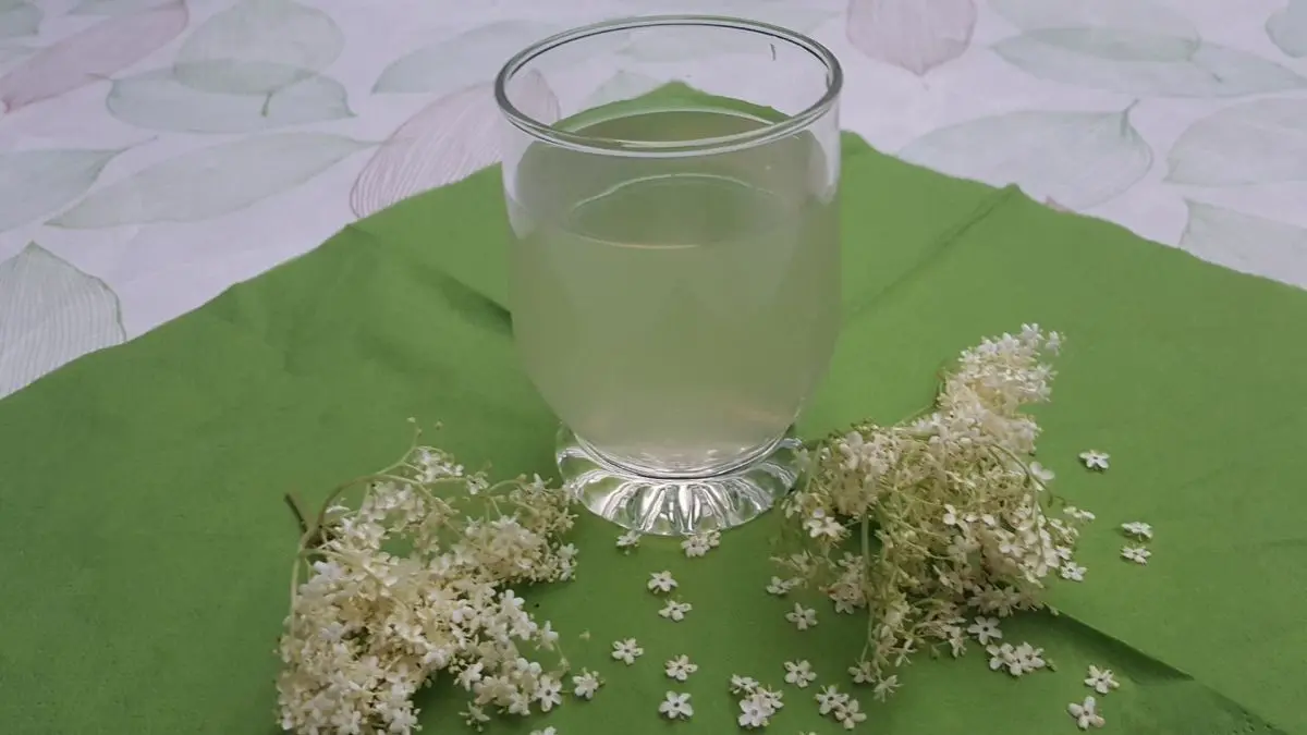 Holundersirup selber machen mit frischen Holunderbl&uuml;ten: Glas mit hellem Sirup umgeben von zarten wei&szlig;en Dolden auf gr&uuml;ner Serviette.