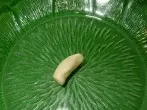 Salatschüssel mit Knoblauch einreiben