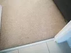 Teppiche wieder enthaaren mit dem Staubsauger