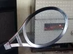Mücken und Fliegen fangen II