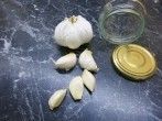 Milchsauer <strong>eingelegter Knoblauch</strong>