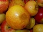 H&auml;ssliche &Auml;pfel lecker verpackt: Pommel backen