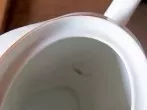 Kaffee- und Teerückstände in Kannen mit Minztee entfernen