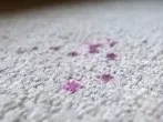 Wachsflecken entfernen mit Löschpapier und Bügeleisen