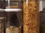 Lebensmittelmotten verjagen - so klappt es wirklich