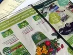 Papier für Kindergarten