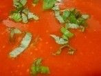Andere <strong>Tomatensauce</strong> - super schnell und g&uuml;nstig