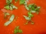 Andere Tomatensauce - super schnell und günstig