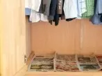 Gefräßige Motten