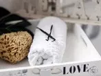 Vanilleschote gegen Gerüche auf der Toilette