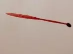 Blutflecken von Oberfächen mit Fensterreiniger entfernen