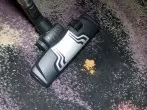 Zimt-Trick gegen Geruch beim Staubsauger