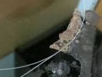 Waschpulver gegen Angebranntes auf dem Herd