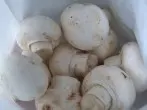 Tipps zu Champignons