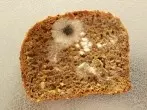 Mit Backpulver den Brotkasten reinigen