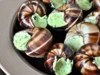 Schnecken zubereiten