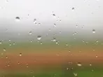 Weichspüler ins Wasser beim Fenster putzen
