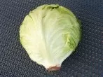 Einfaches Vorbereiten von Eisbergsalat
