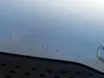 Fliege meets Windschutzscheibe oder Motorhaube