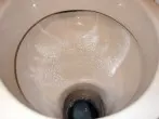Spülmaschinenpulver für die Toilette