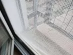 Fliegengitter mit Nylonstrumpfhose putzen