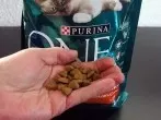 Purina hilft gegen Durchfall bei alter Katze