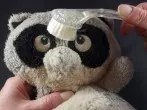 Verfilzte Kuscheltiere wieder plüschig bürsten