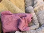 Sparen beim Buntwäsche waschen mit 30 Grad