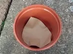 Kaffeefilter als Hilfe beim Umtopfen