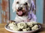 Rezept: Hundekuchen selber backen