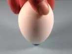 Eier richtig lagern