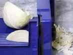 Große Kohlköpfe verarbeiten