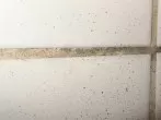 Fliesenfugen mit Handwaschpaste putzen