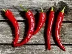 Chili - Auflage gegen Rückenschmerzen