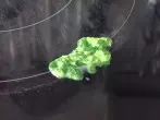 Eingetrocknete Krusten am Herd lösen