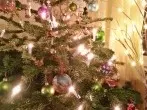 Tipps: So hält der Tannenbaum an Weihnachten länger