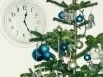 Weihnachtsbaum - sinnvolle(re) Entsorgung