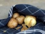 <strong>Pellkartoffeln</strong> pellen genau wie Mandeln vom H&auml;utchen befreien