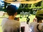 Kleinen Kindern einen Ausflug anhand von Bildkarten erklären
