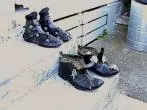 Alte Schuhe als Pflanzbehälter für Hauswurzen