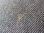 Gallseife - Fleckenkiller
