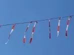 Tauben vom Balkon vertreiben