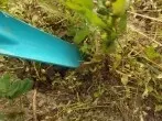 Gartenarbeit mit Knieschonern