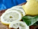 Würzen mit selbstgezogenen Zitronenblättern