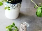 Kräutersalz selbst herstellen