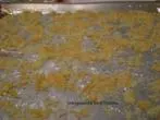 Orangen und Zitronenzucker selbst gemacht